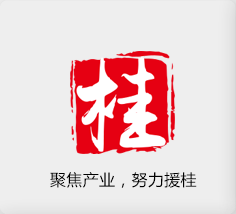 聚焦產(chǎn)業(yè)，努力援桂